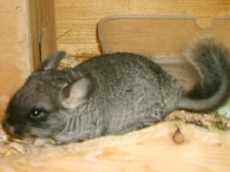 Snímek 007.jpg