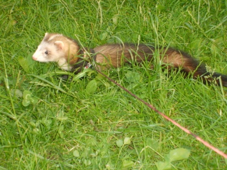 Snímek 178.jpg