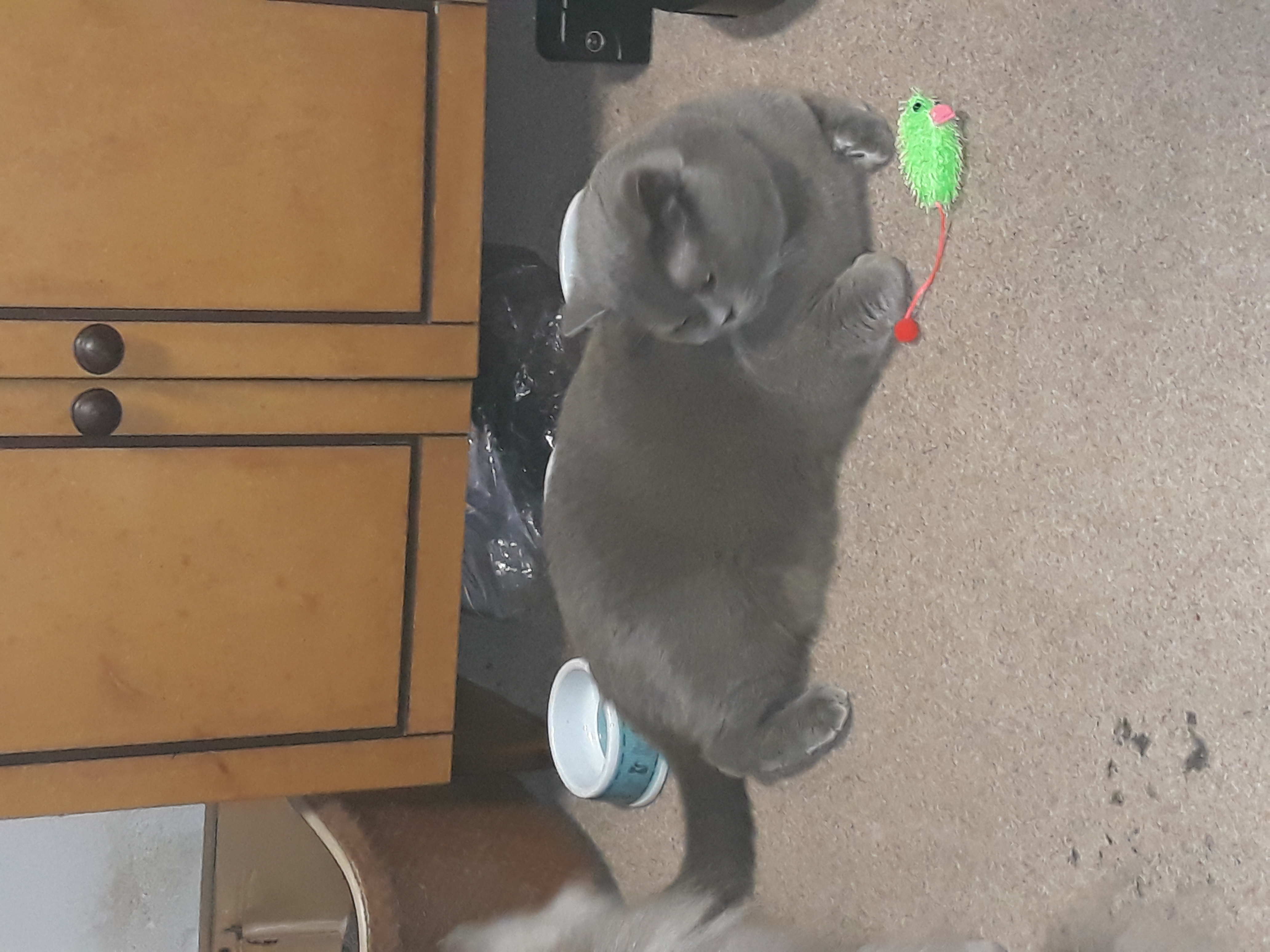 20190221_223525