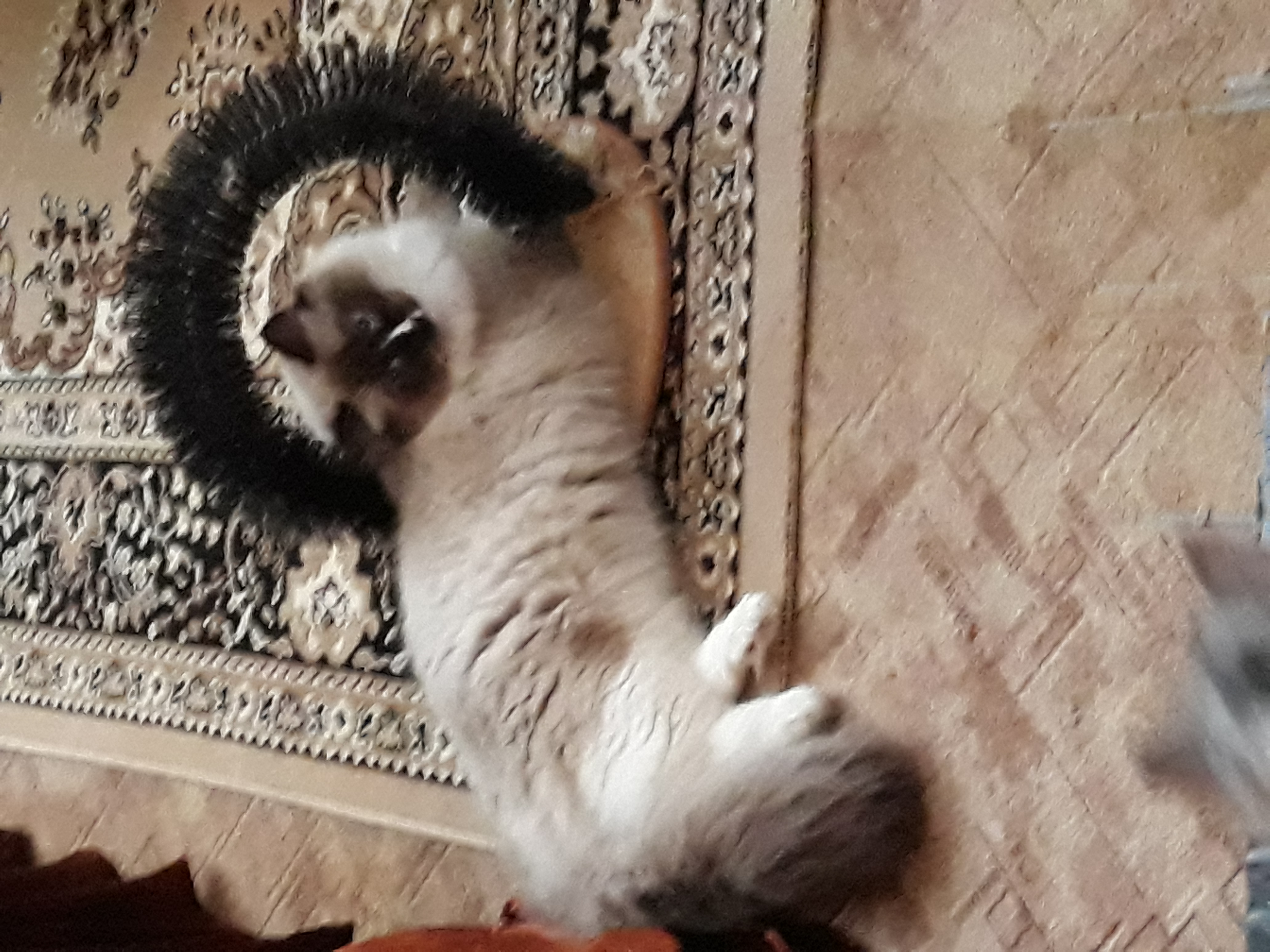20190420_112424